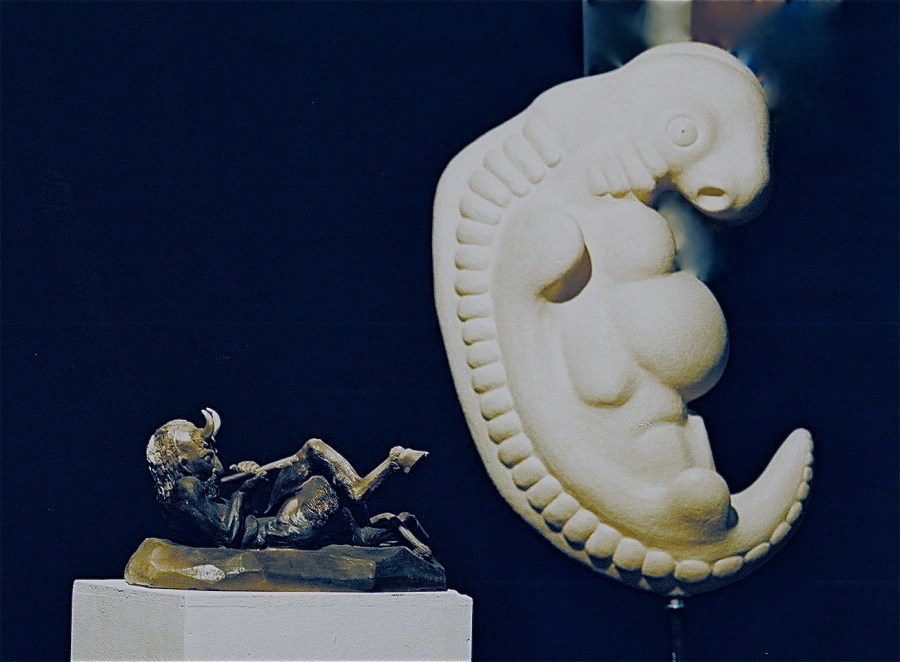 Pan Schmauchbrand 40cm Embryo Rohbrand 95cm